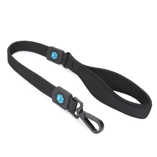 High Elastic Leash for Small to Large Dogs